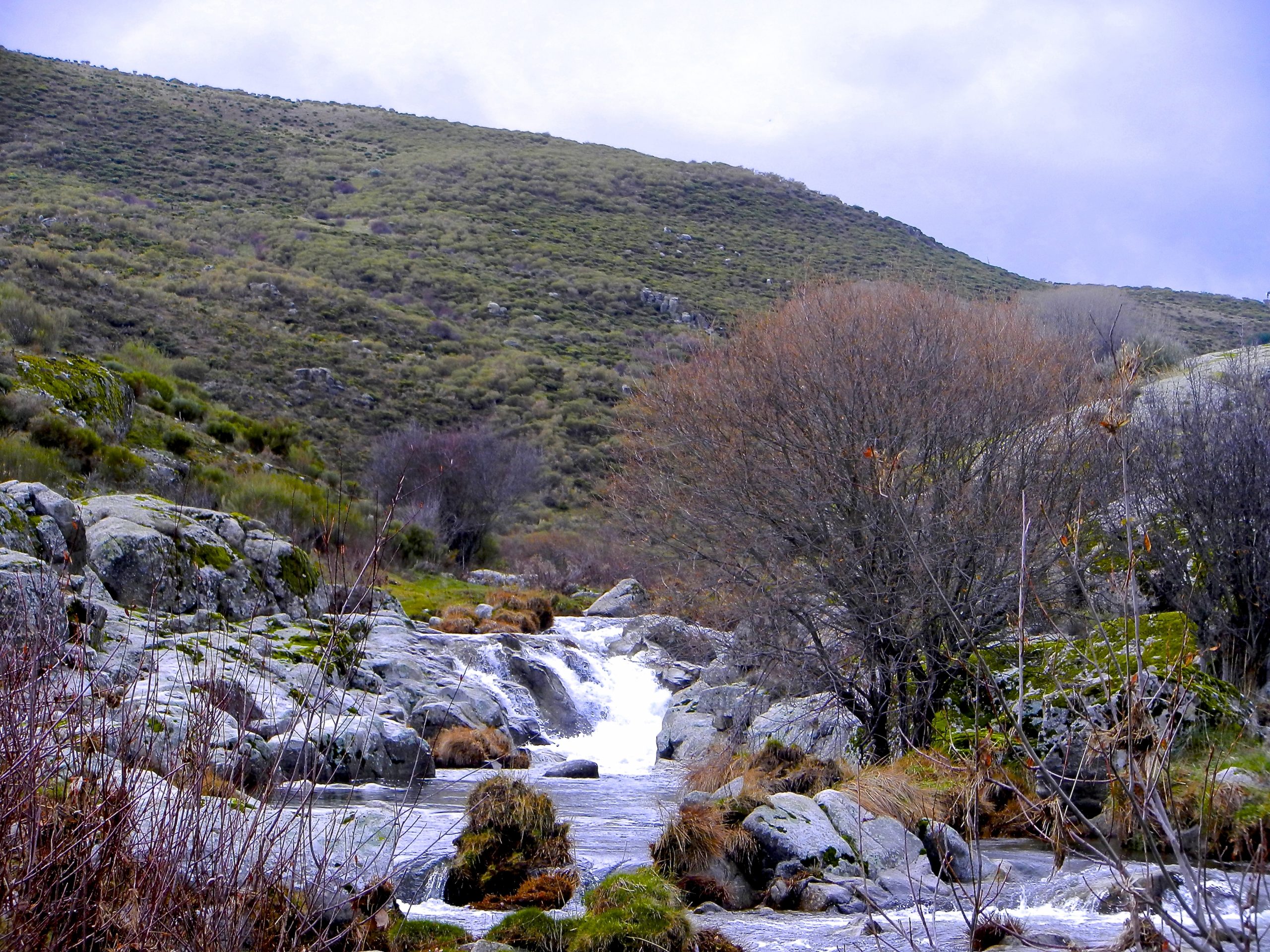 Qu Es La C Tedra Del Tajo C Tedra Del Tajo